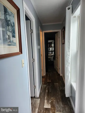 a view of a closet with wooden floor