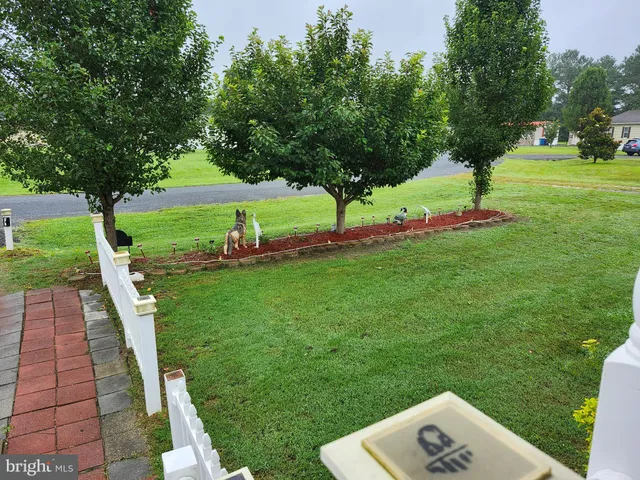 a view of a park with large trees