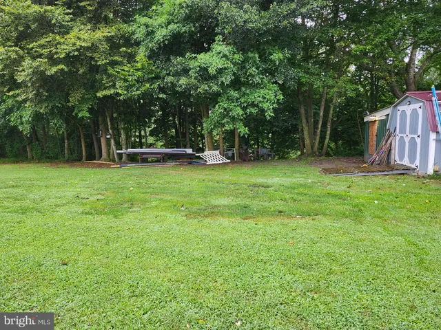 a view of a trees in a yard