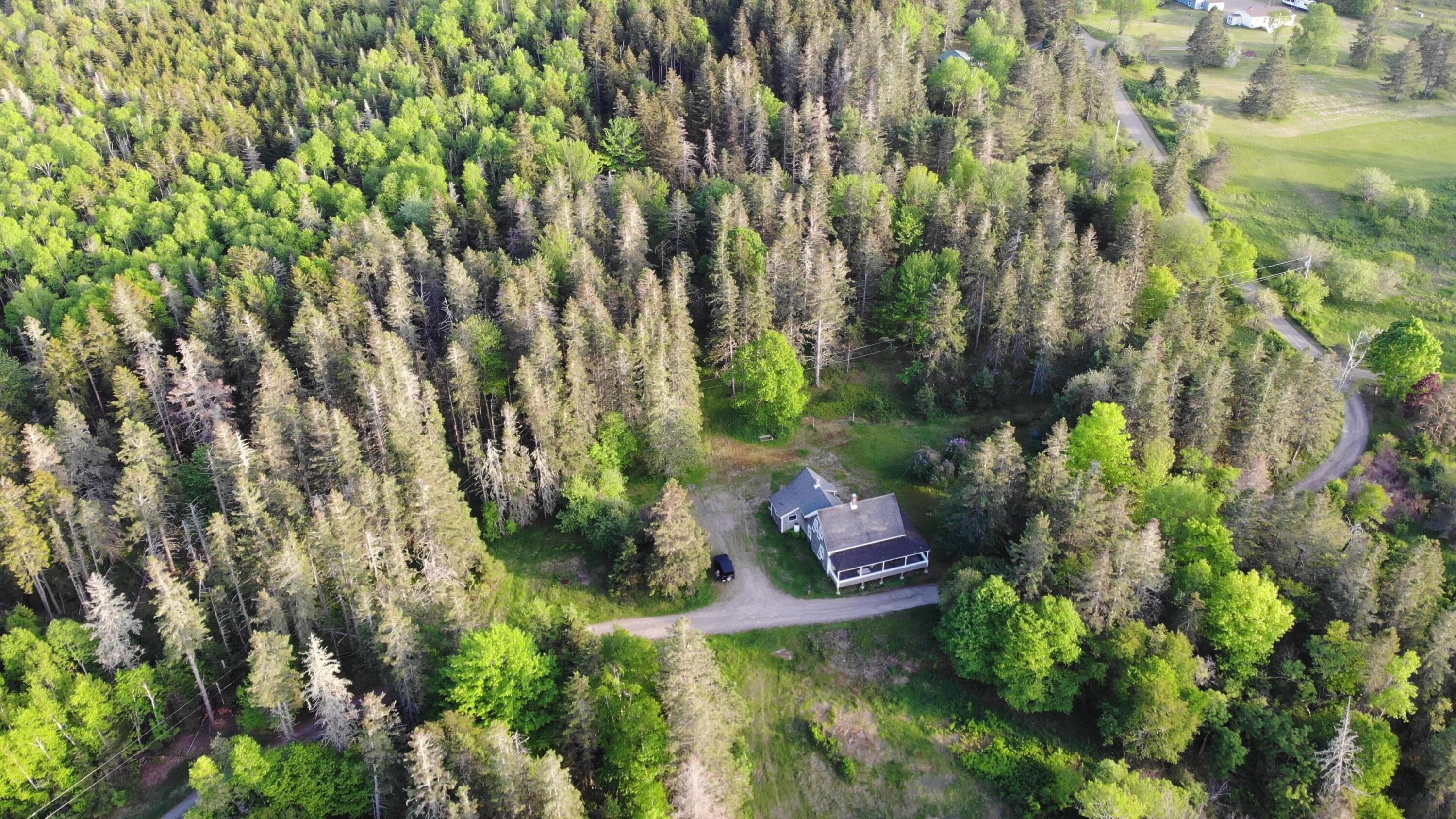 45 Kendall Head Road Eastport, ME 04631 - Photo 111 of 117 DJI_0146 - frame at 1m9s