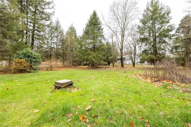 a backyard of a house with lots of green space