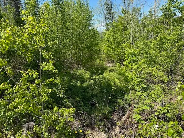 $69,000 | Lot 11 Mt Jefferson Heights, Lee, ME 04455