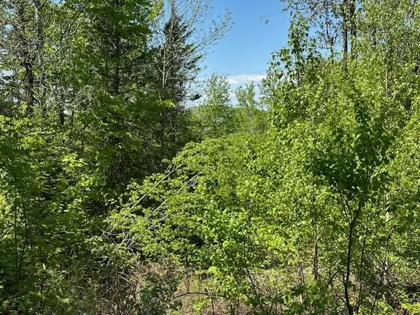 $69,000 | Lot 11 Mt Jefferson Heights, Lee, ME 04455