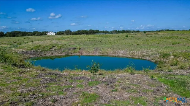 a view of a garden with an outdoor space
