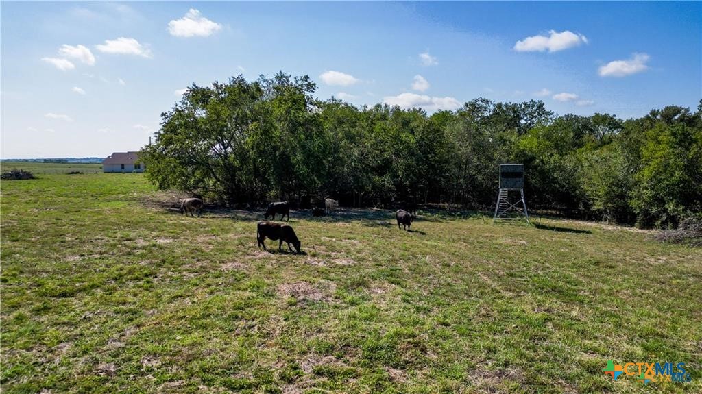 559 Bylerpool Road Kingsbury, TX 78638 - Photo 7 of 36 a view of outdoor space with deck and yard