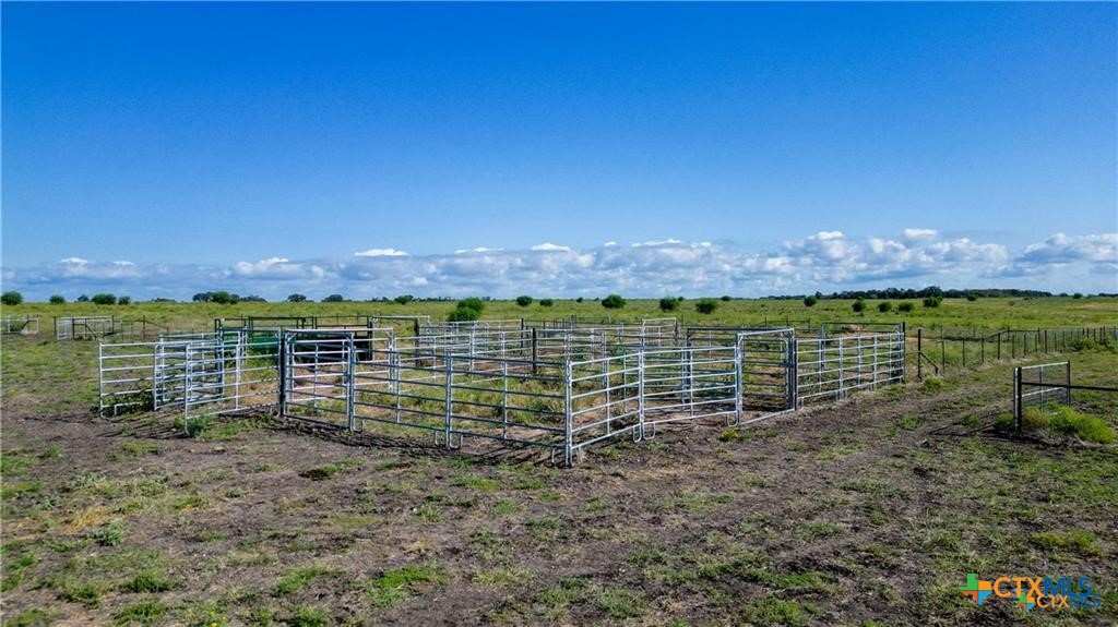 559 Bylerpool Road Kingsbury, TX 78638 - Photo 9 of 36 a view of a yard