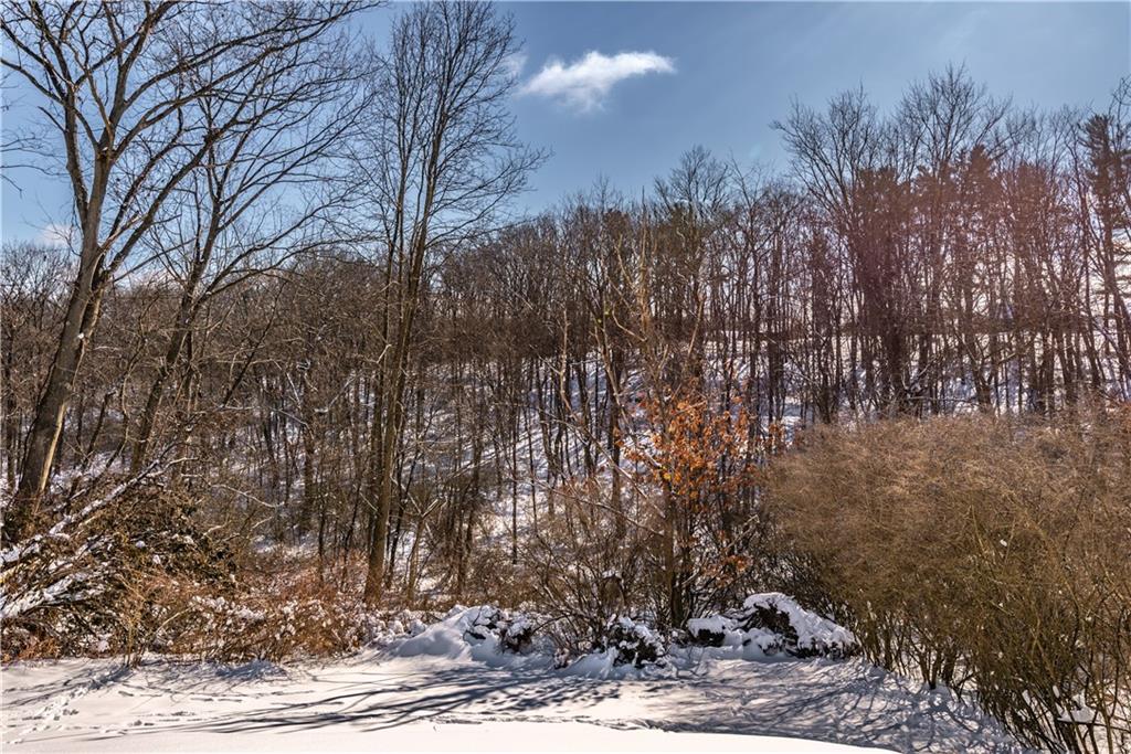 157 Seneca Drive Butler, PA 16001 - Photo 31 of 31 a view of a backyard of the house