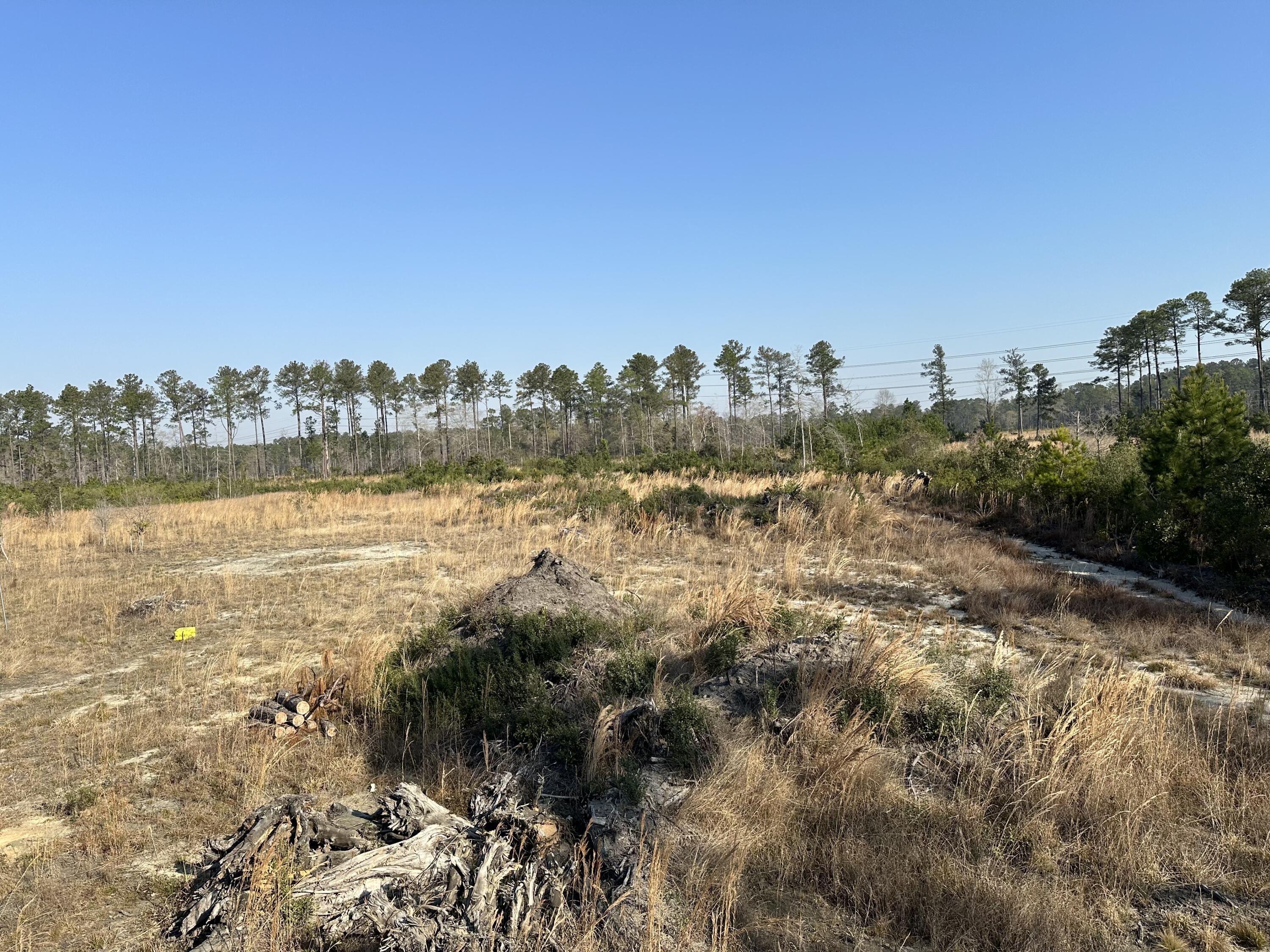 1 County Rd S-18-246 Dorchester, SC 29437 - Photo 11 of 14 IMG_4624