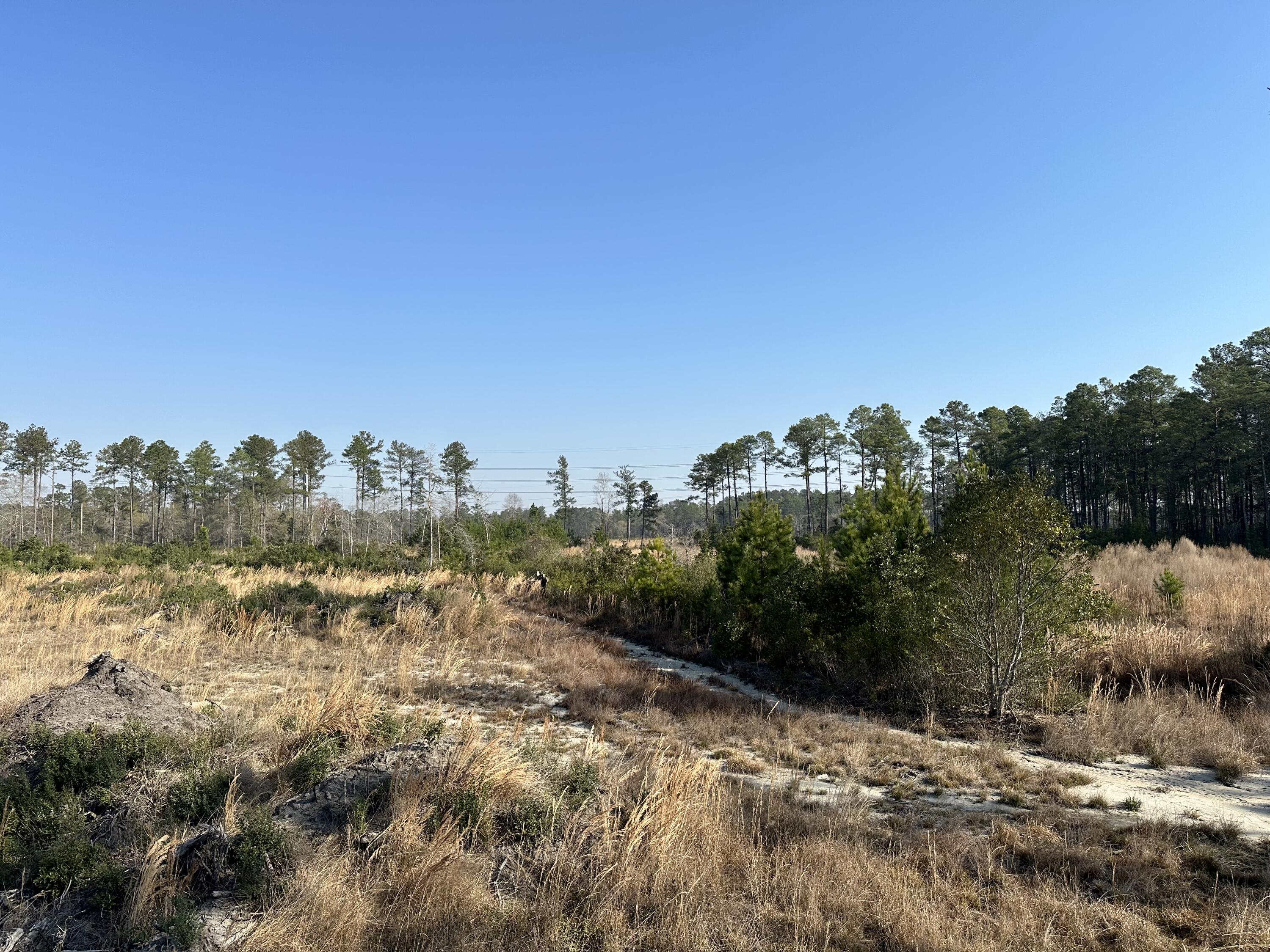 1 County Rd S-18-246 Dorchester, SC 29437 - Photo 5 of 14 IMG_4618