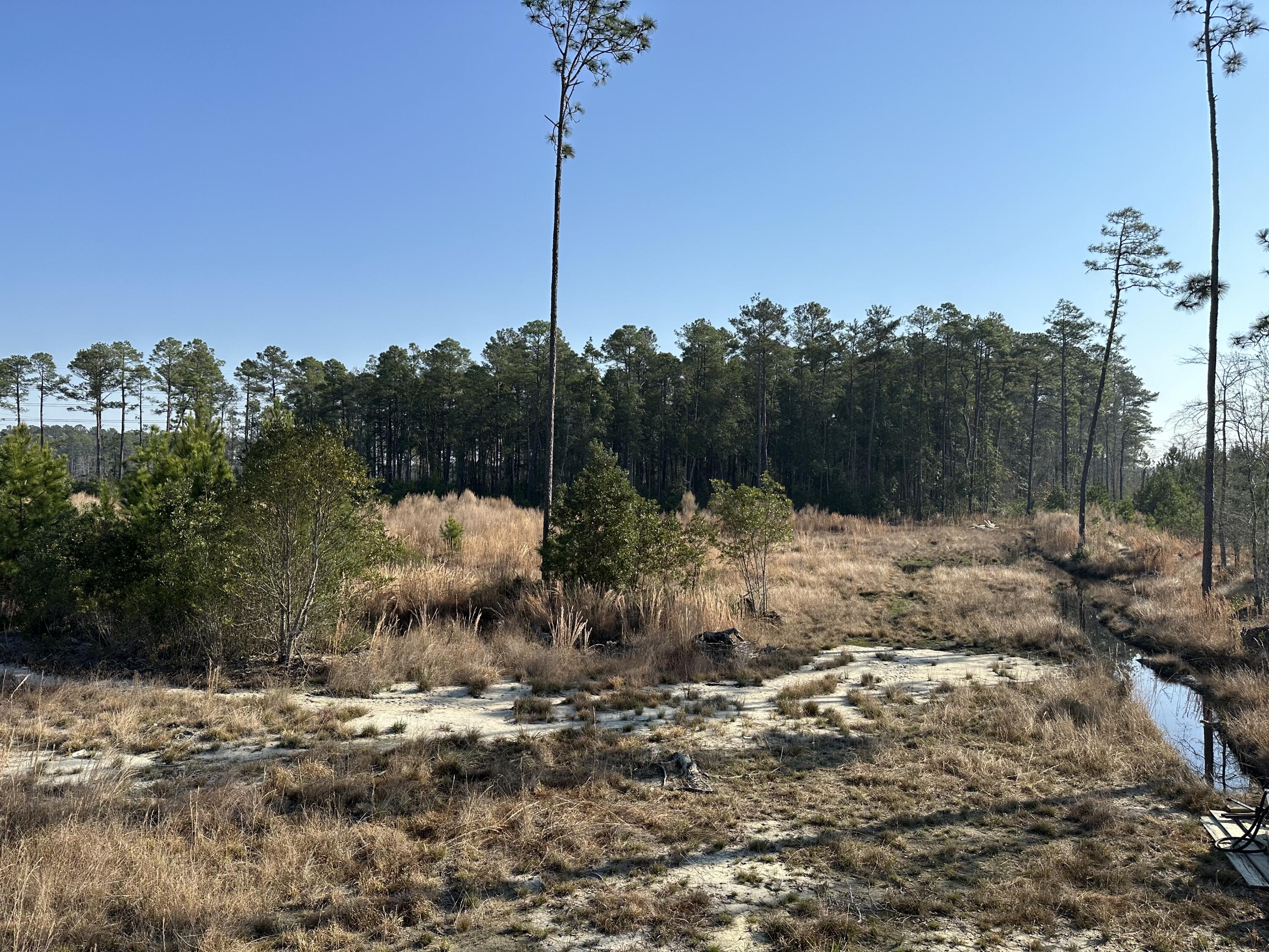 1 County Rd S-18-246 Dorchester, SC 29437 - Photo 6 of 14 IMG_4619