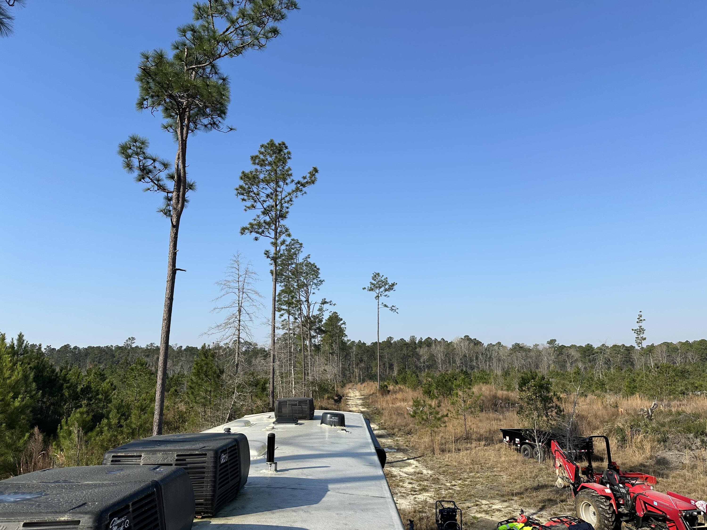 1 County Rd S-18-246 Dorchester, SC 29437 - Photo 8 of 14 IMG_4621