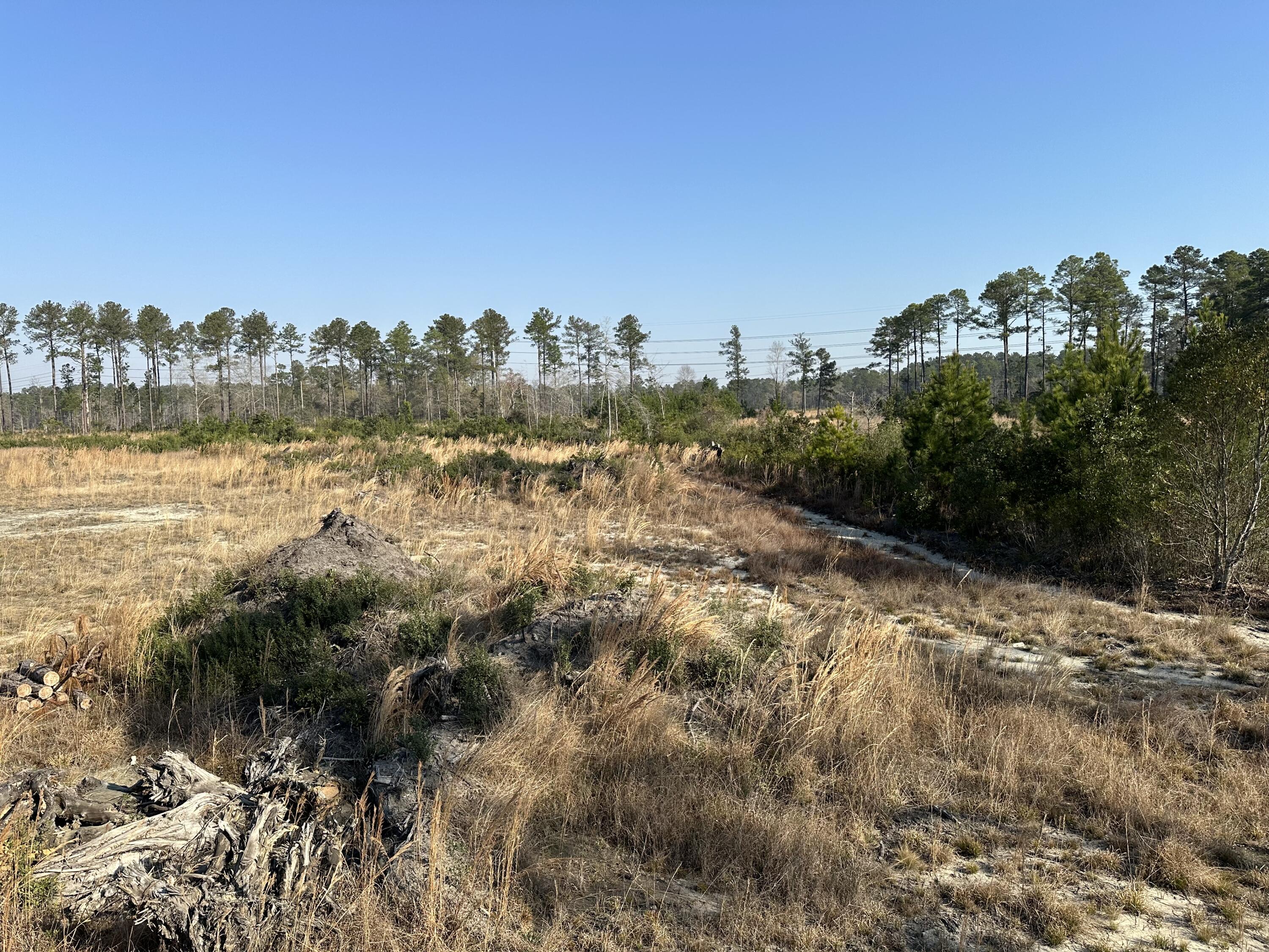 1 County Rd S-18-246 Dorchester, SC 29437 - Photo 9 of 14 IMG_4622