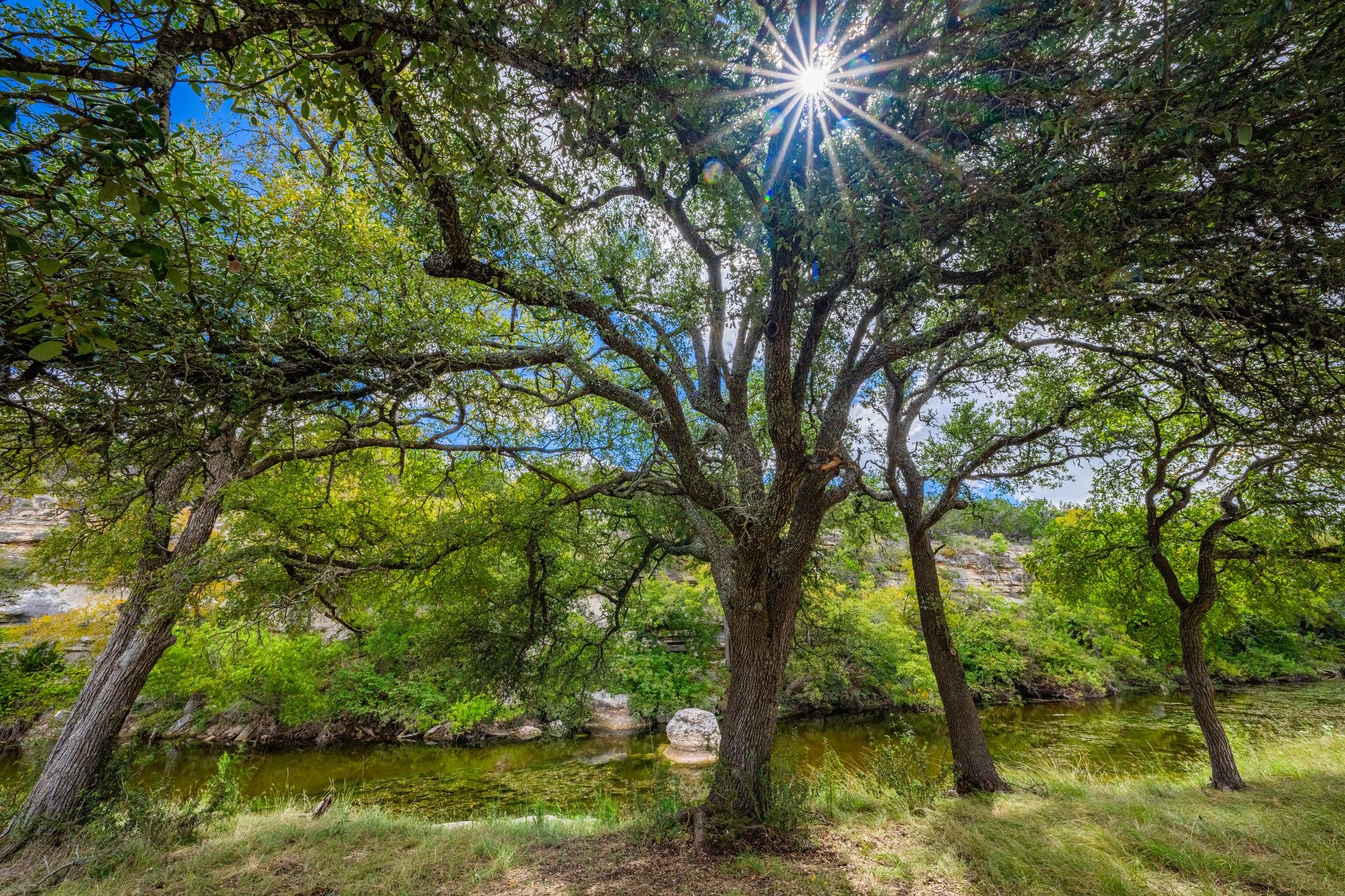 6477 South 783rd Ranch Harper, TX 78631 - Photo 7 of 19