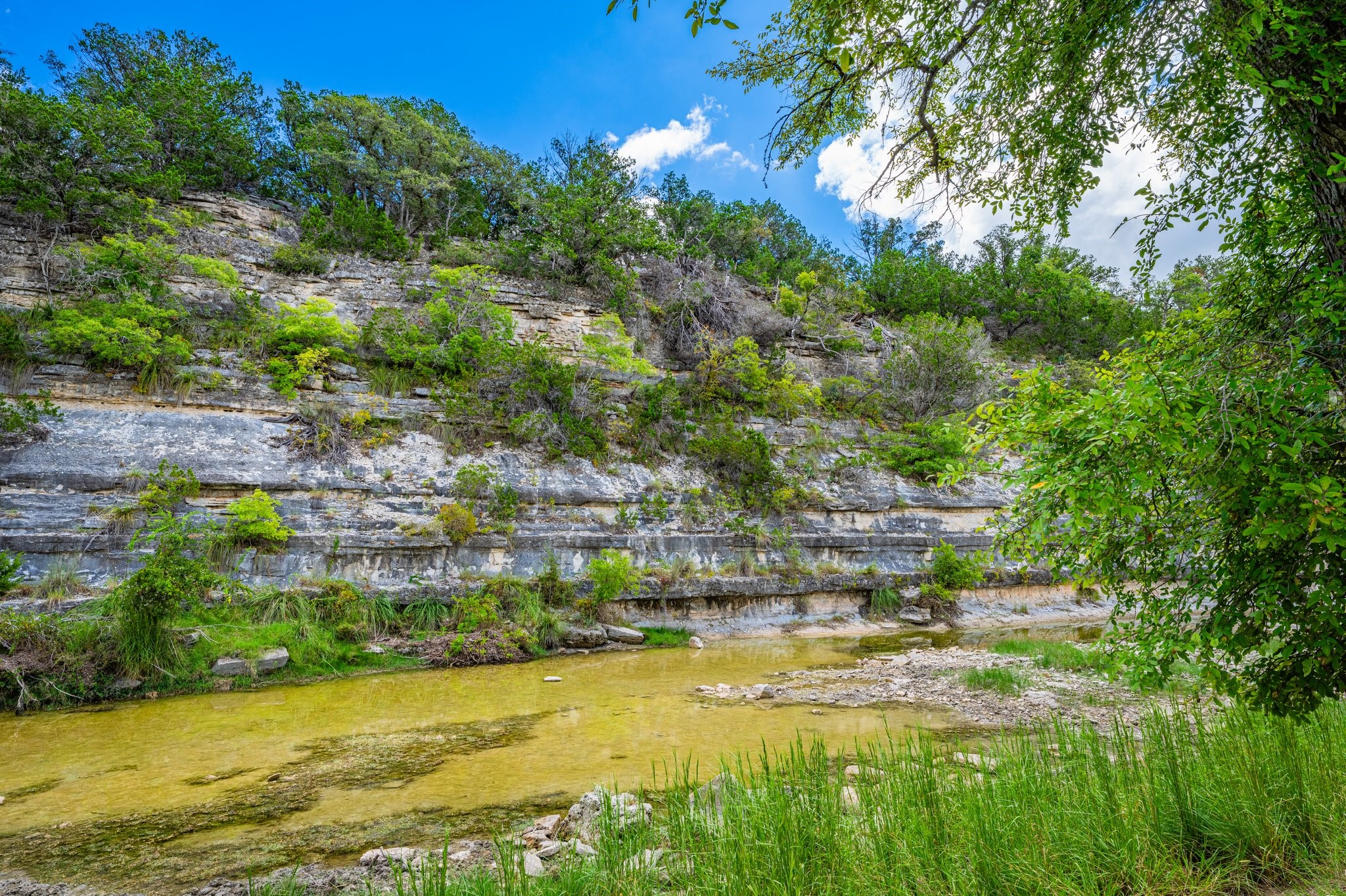 6477 South 783rd Ranch Harper, TX 78631 - Photo 10 of 19