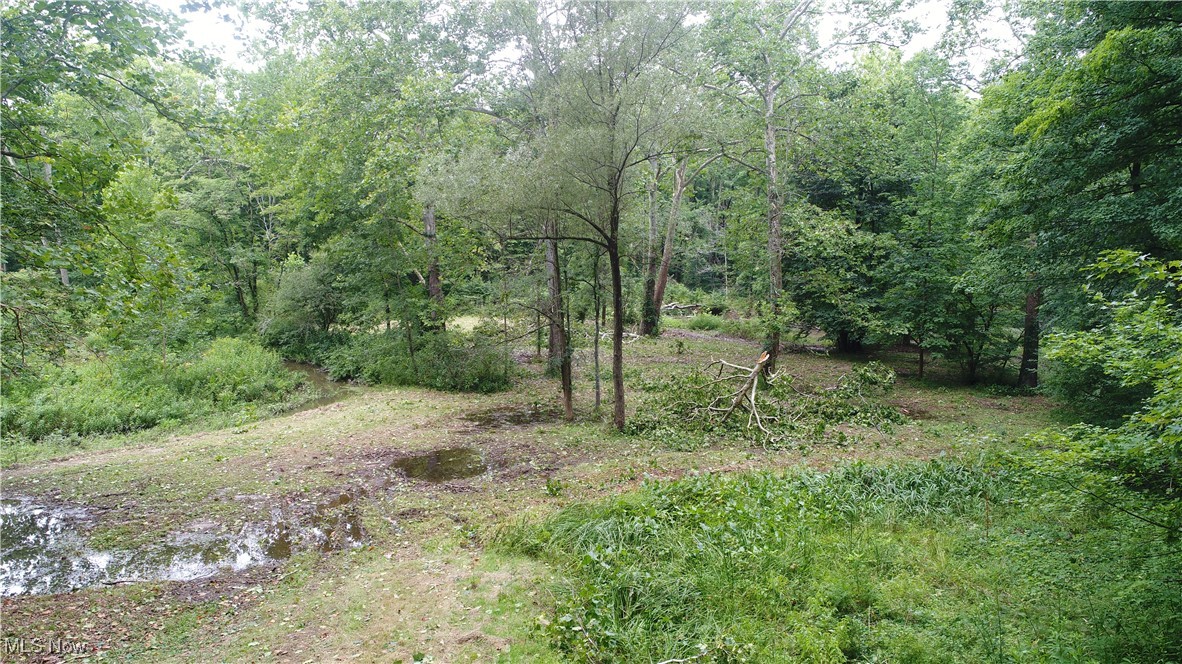 13696 Sperry Road Novelty, OH 44072 - Photo 28 of 40 View of landscape