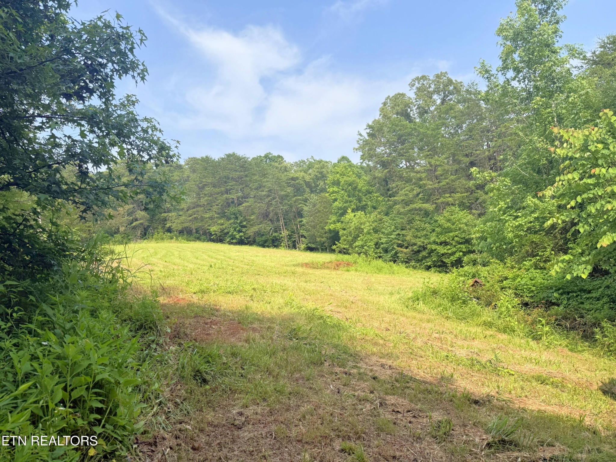 0 Wayland Road Knoxville, TN 37914 - Photo 11 of 20 Gallery Image 11