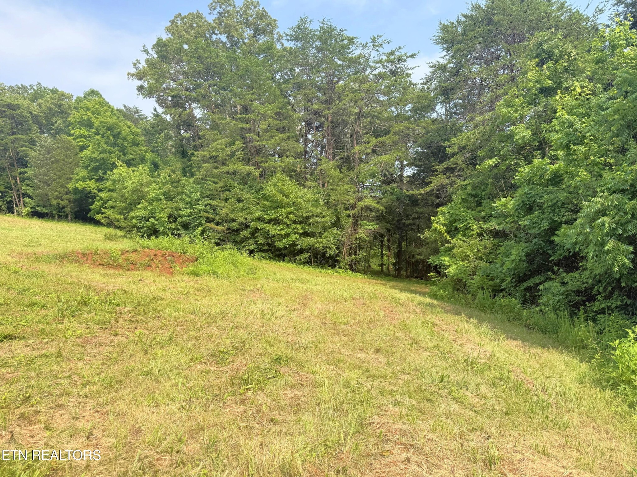 0 Wayland Road Knoxville, TN 37914 - Photo 13 of 20 Gallery Image 13