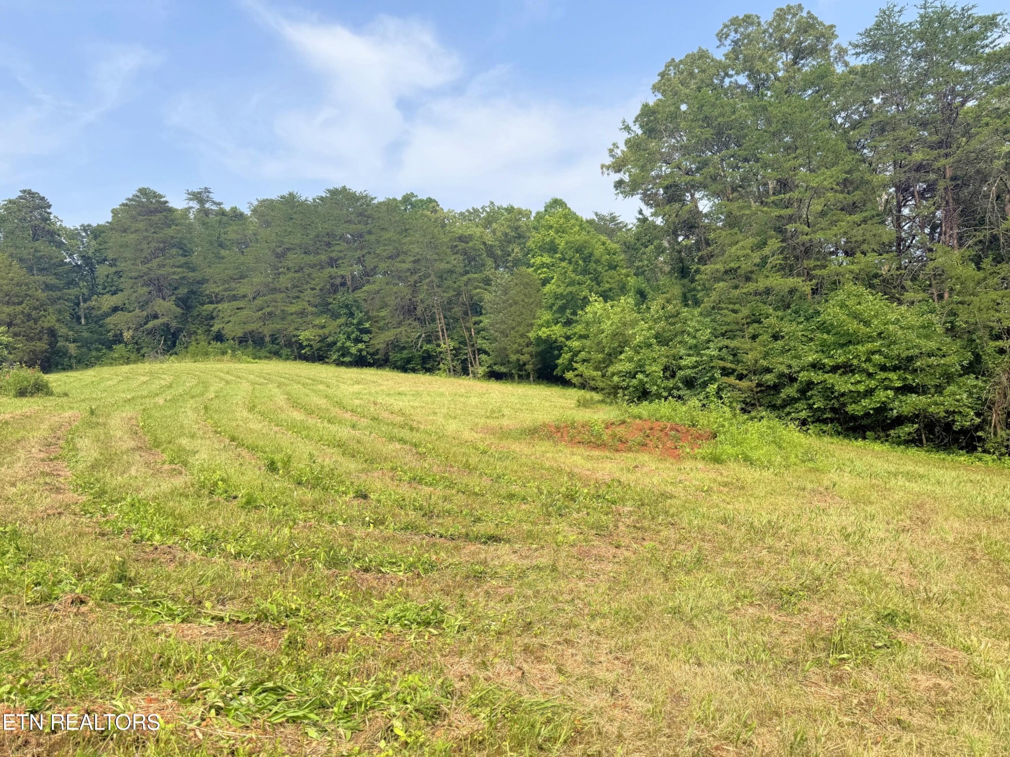 0 Wayland Road Knoxville, TN 37914 - Photo 14 of 20 Gallery Image 14