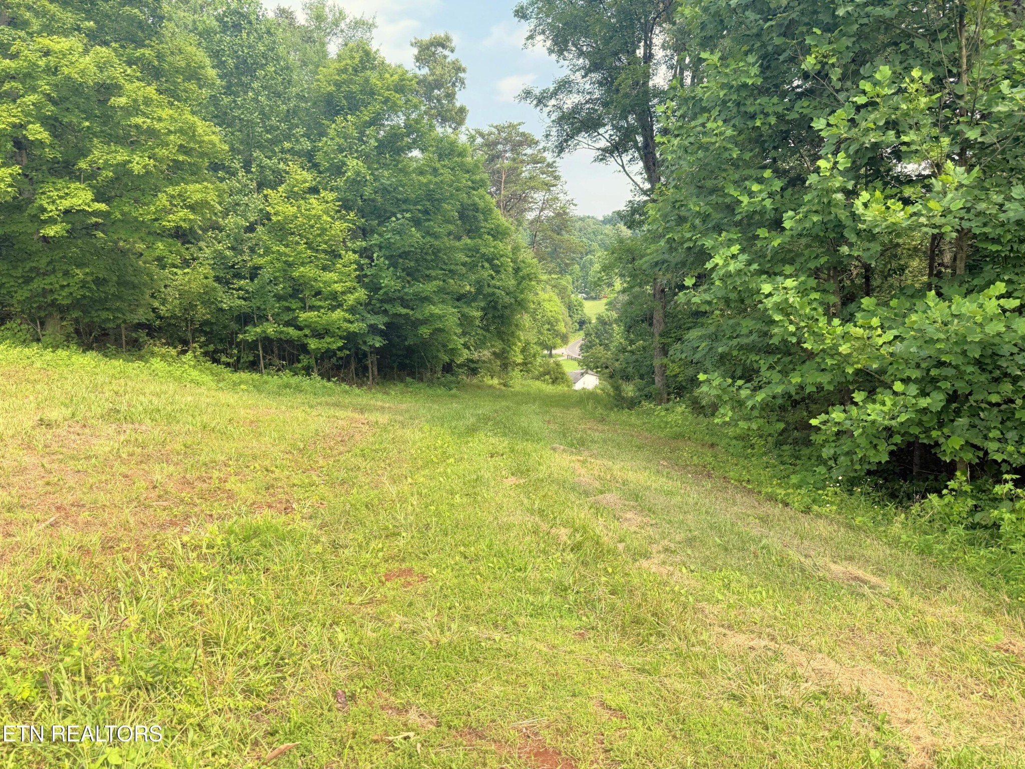 0 Wayland Road Knoxville, TN 37914 - Photo 15 of 20 Gallery Image 15