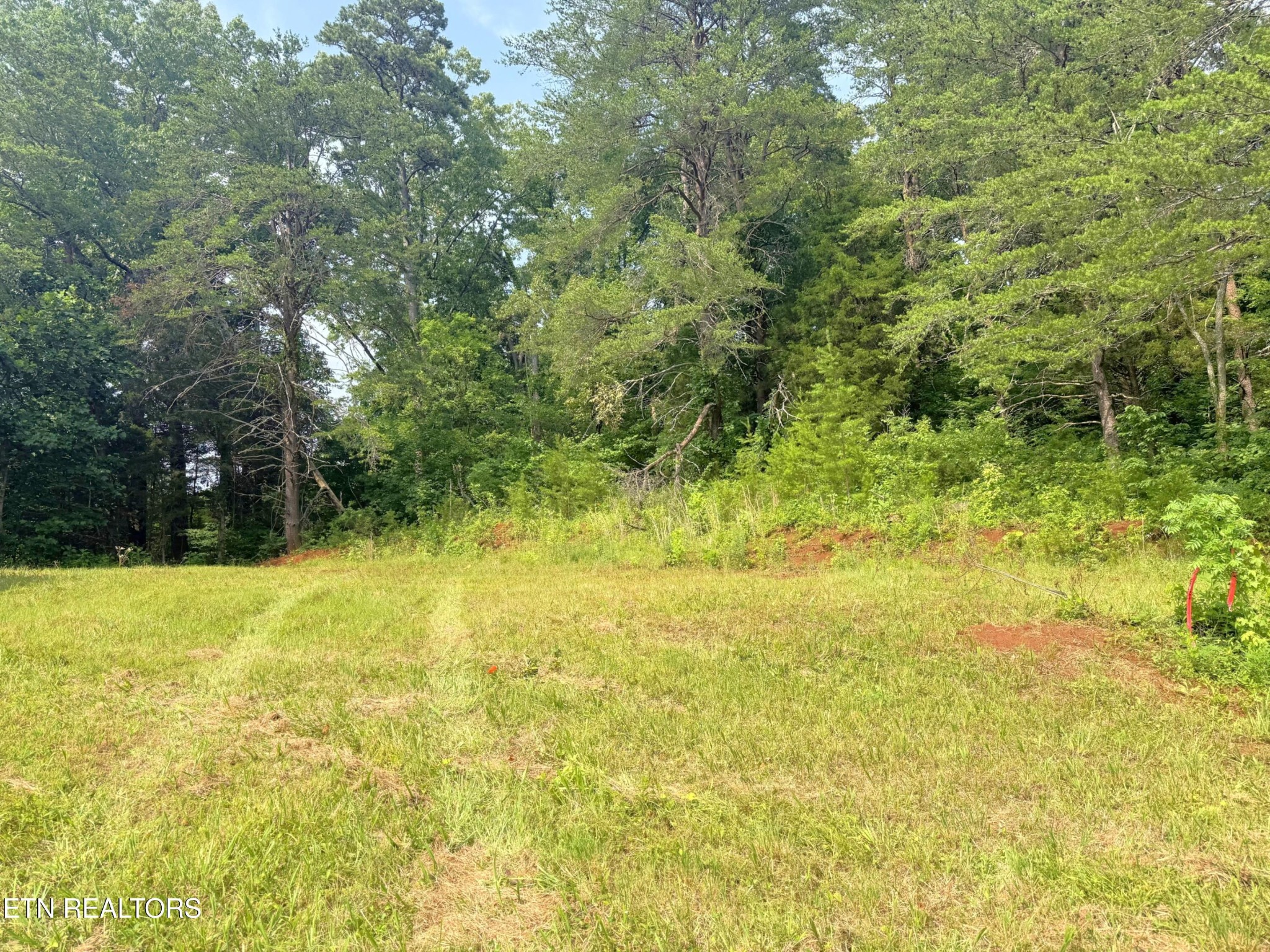 0 Wayland Road Knoxville, TN 37914 - Photo 16 of 20 Gallery Image 16