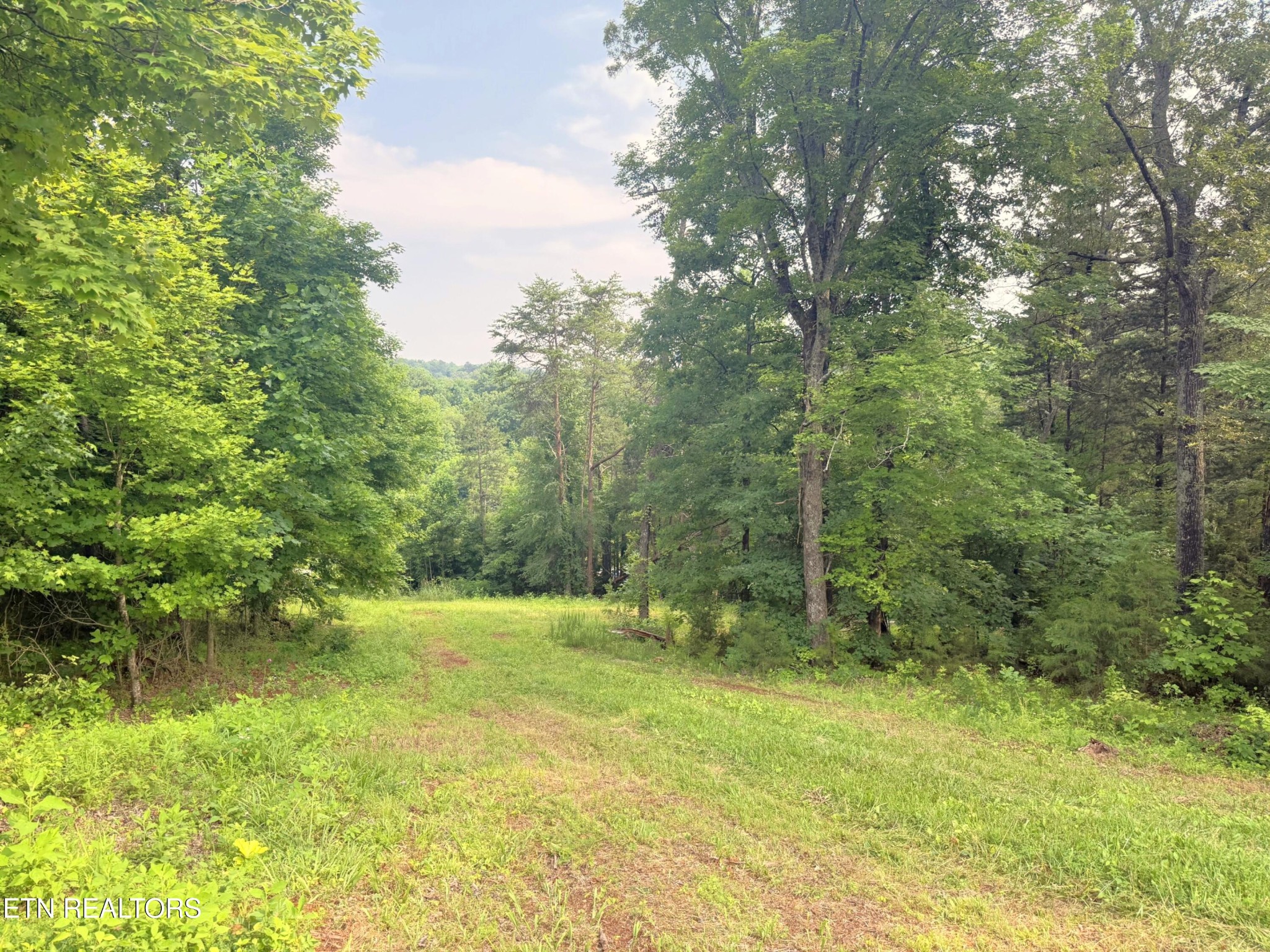 0 Wayland Road Knoxville, TN 37914 - Photo 17 of 20 Gallery Image 17