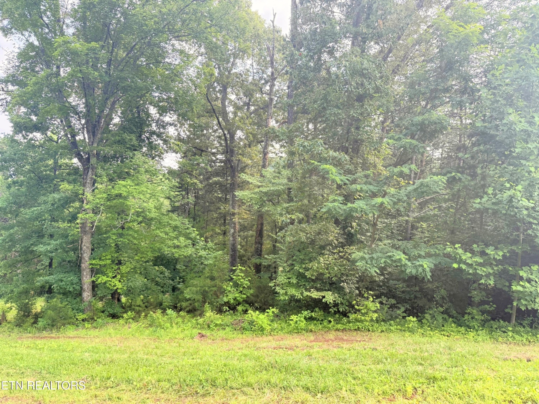 0 Wayland Road Knoxville, TN 37914 - Photo 18 of 20 Gallery Image 18