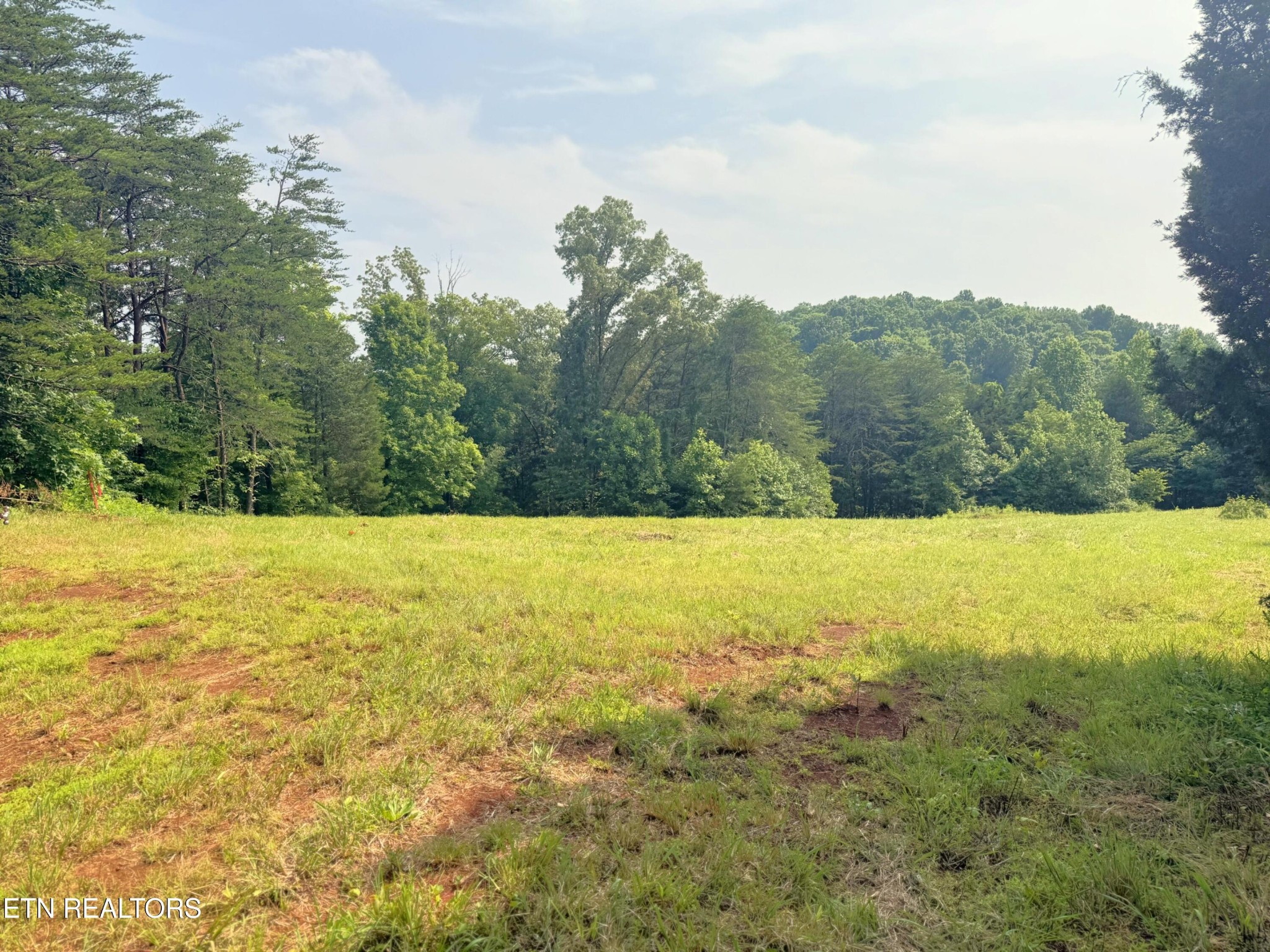 0 Wayland Road Knoxville, TN 37914 - Photo 5 of 20 Gallery Image 5