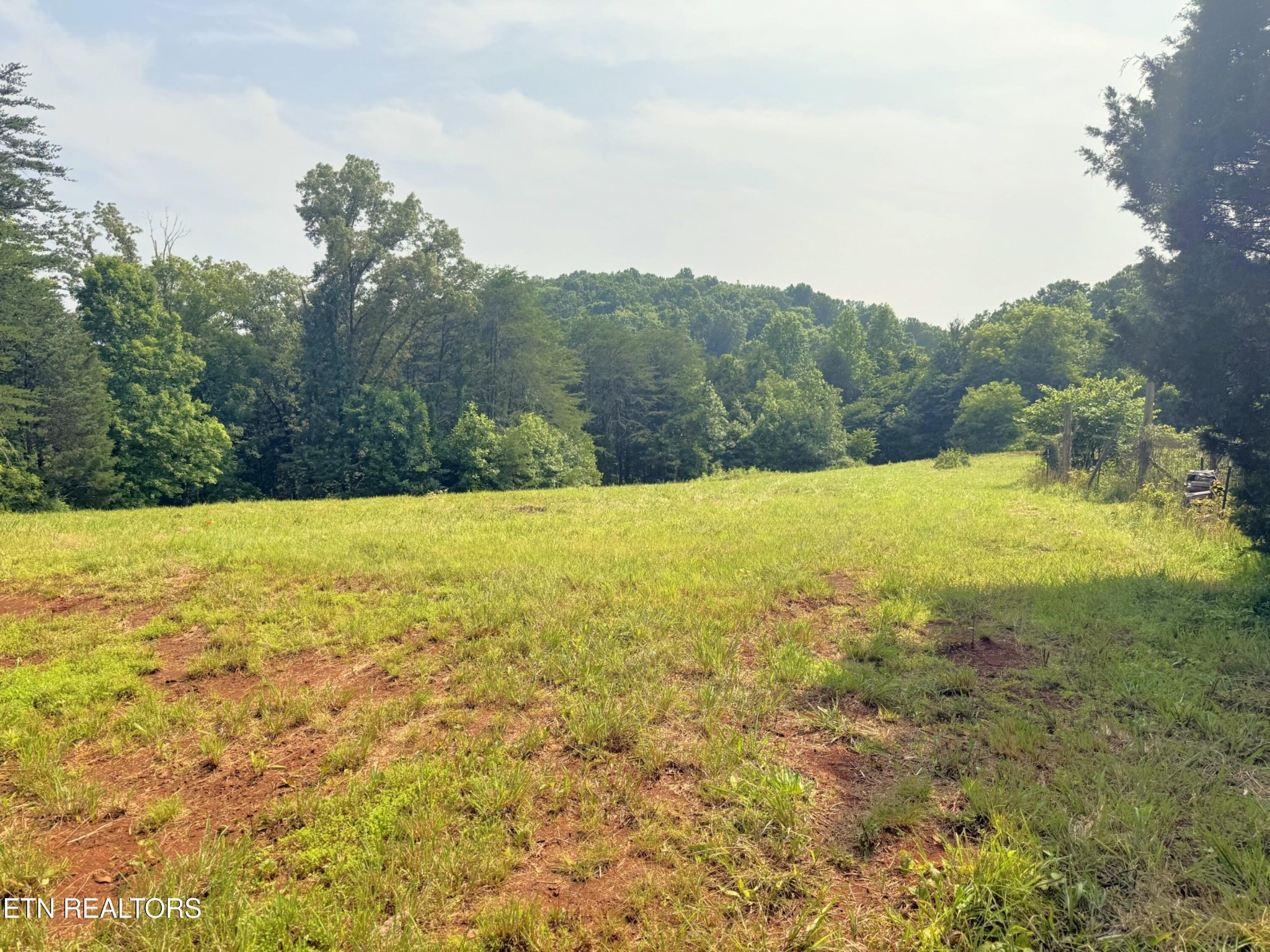 0 Wayland Road Knoxville, TN 37914 - Photo 6 of 20 Gallery Image 6