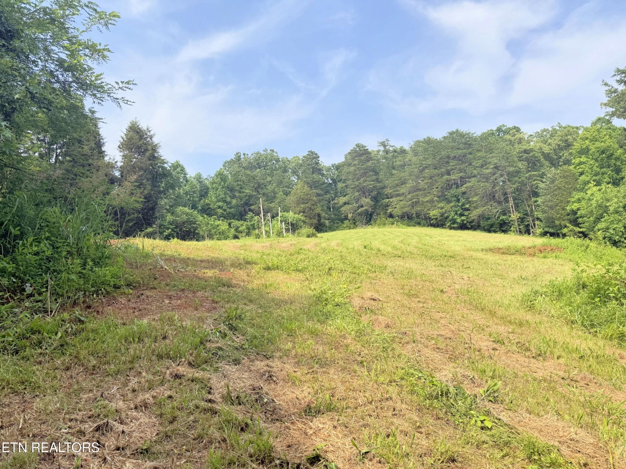 0 Wayland Road Knoxville, TN 37914 - Photo 10 of 20 Gallery Image 10