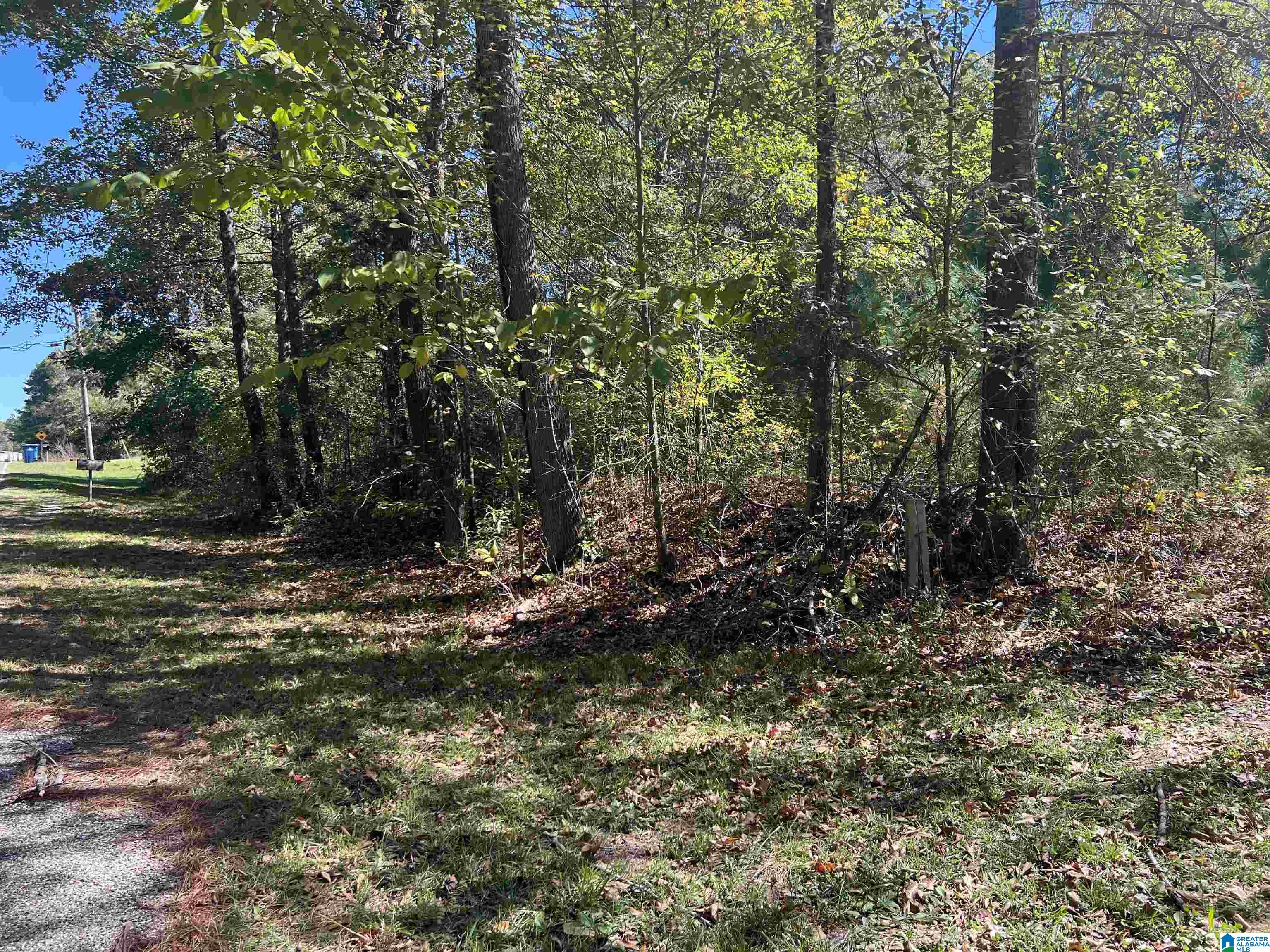 0 Odens Mill Road Sylacauga, AL 35151 - Photo 17 of 23