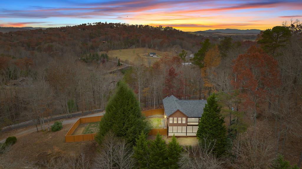256 Mountain Hideaway Drive Blue Ridge, GA 30513 - Photo 1 of 50 Main View