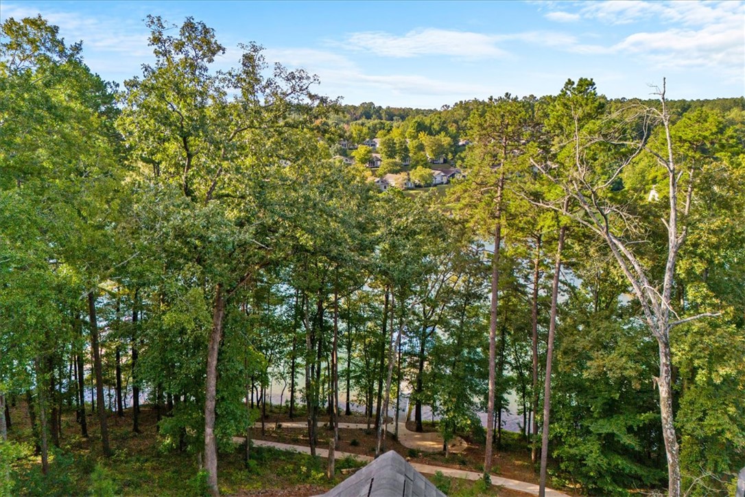 545 Peninsula Road West Union, SC 29696 - Photo 41 of 47