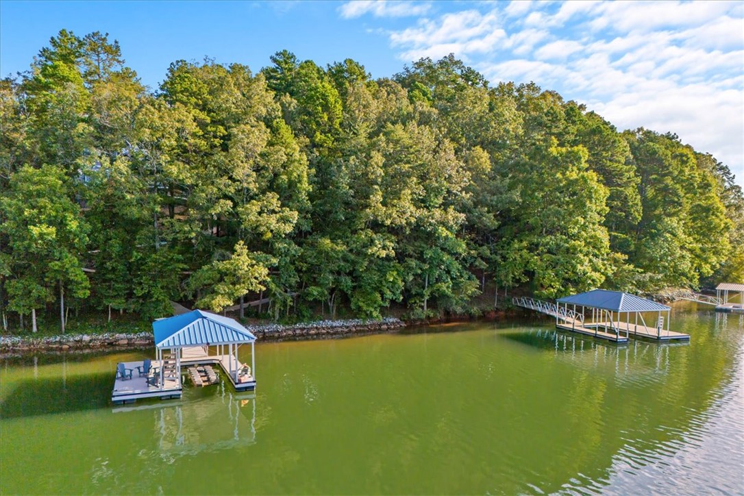 545 Peninsula Road West Union, SC 29696 - Photo 5 of 47