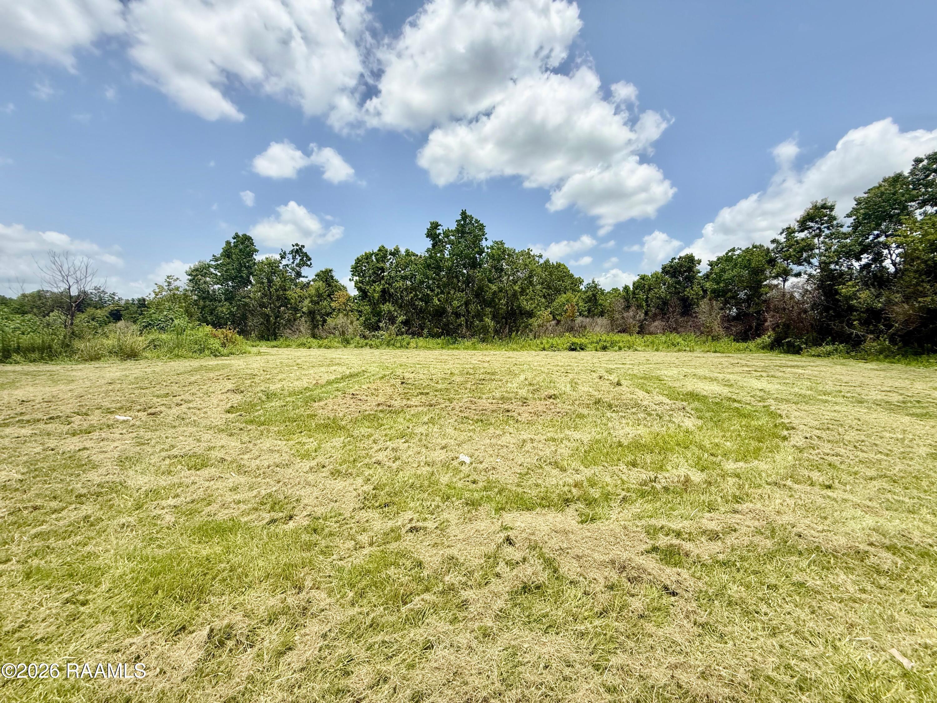 22326 Pine Hill Cemetery Road Iowa, LA 70647 - Photo 7 of 34 back