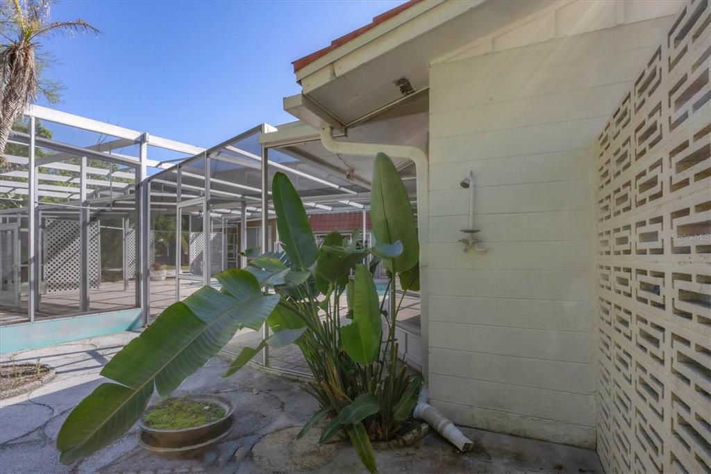 2605 Desoto Road Sarasota, FL 34234 - Photo 55 of 57 a potted plant sitting in front of a house