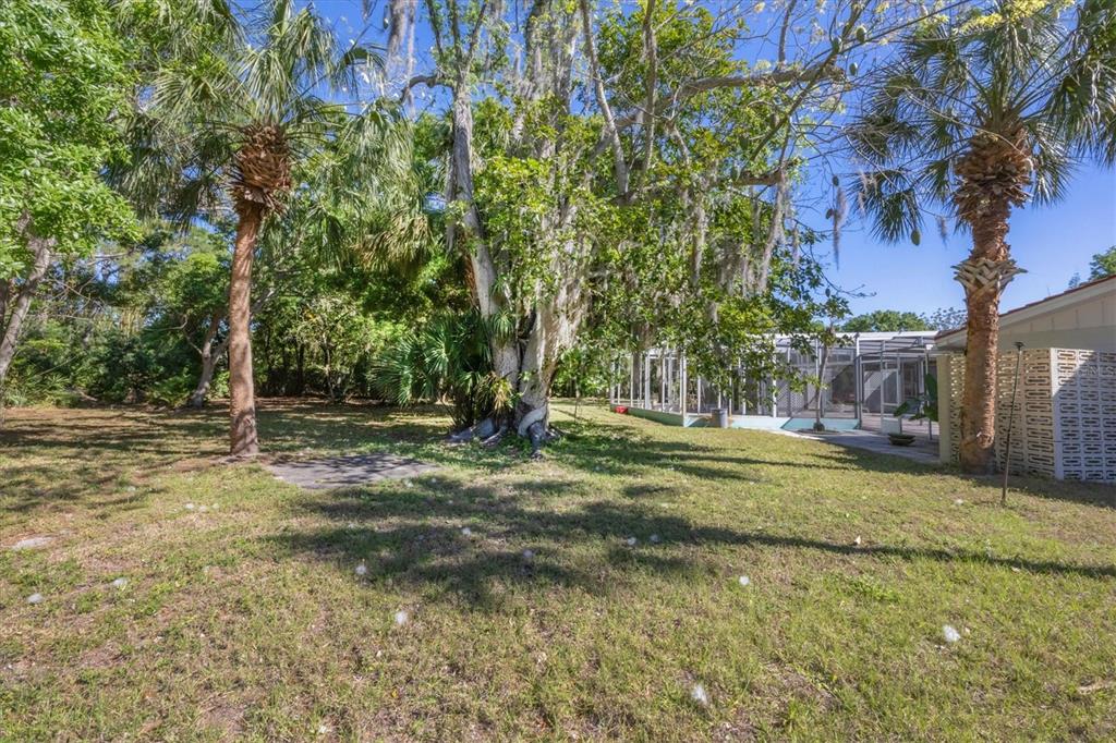 2605 Desoto Road Sarasota, FL 34234 - Photo 57 of 57 a view of backyard with green space