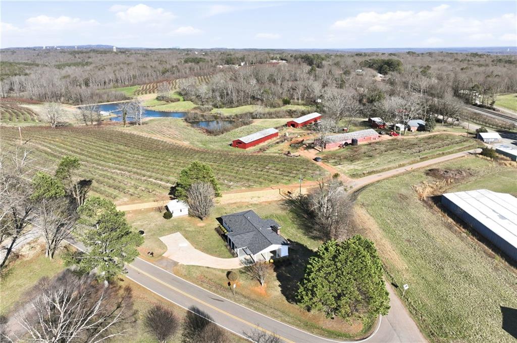 7006 Tribble Gap Road Alto, GA 30510 - Photo 20 of 50