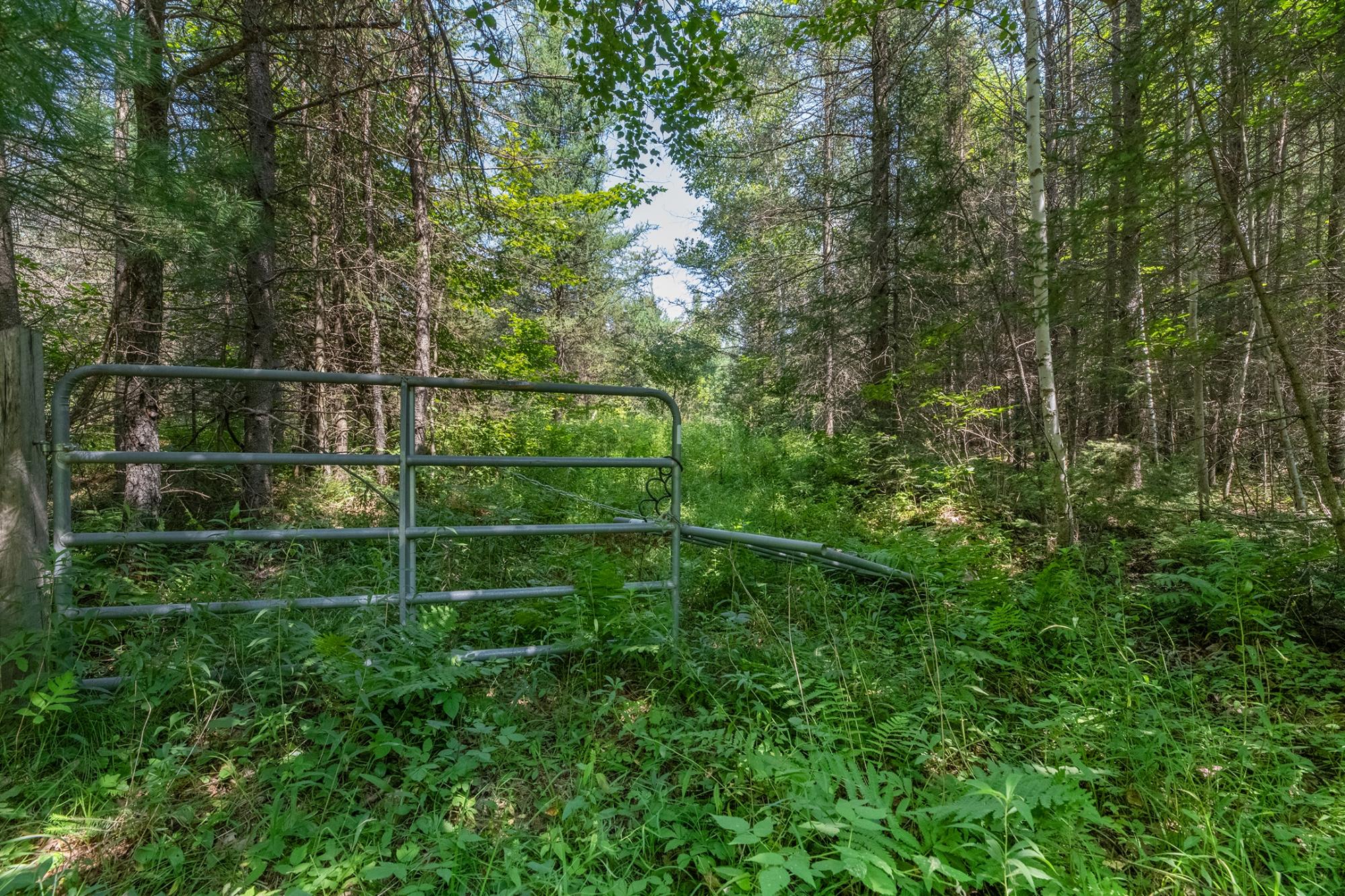 On Hay Meadow Road Rhinelander, WI 54501 - Photo 3 of 20 Gallery Image 3