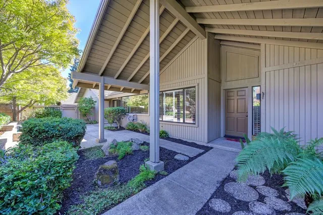 a view of a backyard with potted plants
