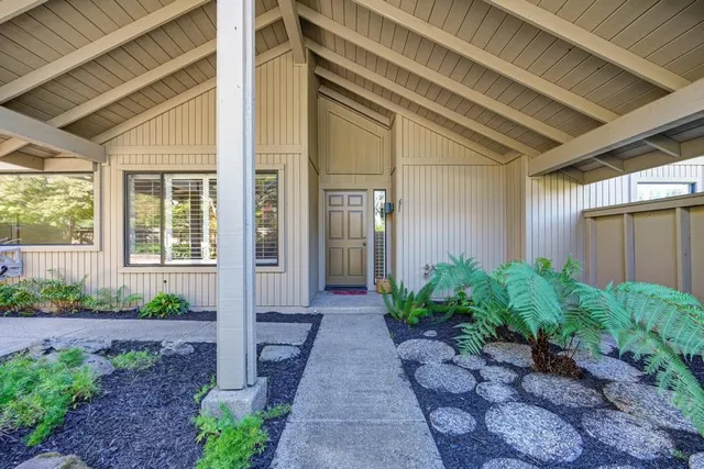 a view of a pathway with a tree