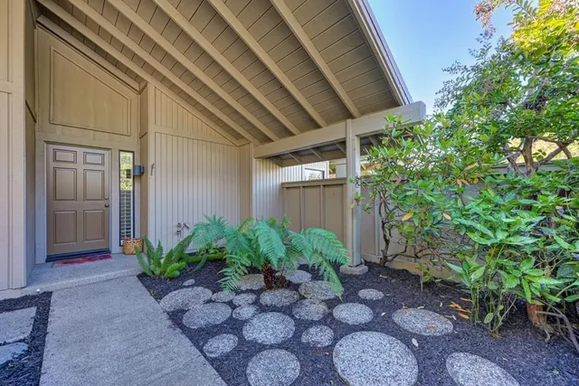 a view of a backyard with plants