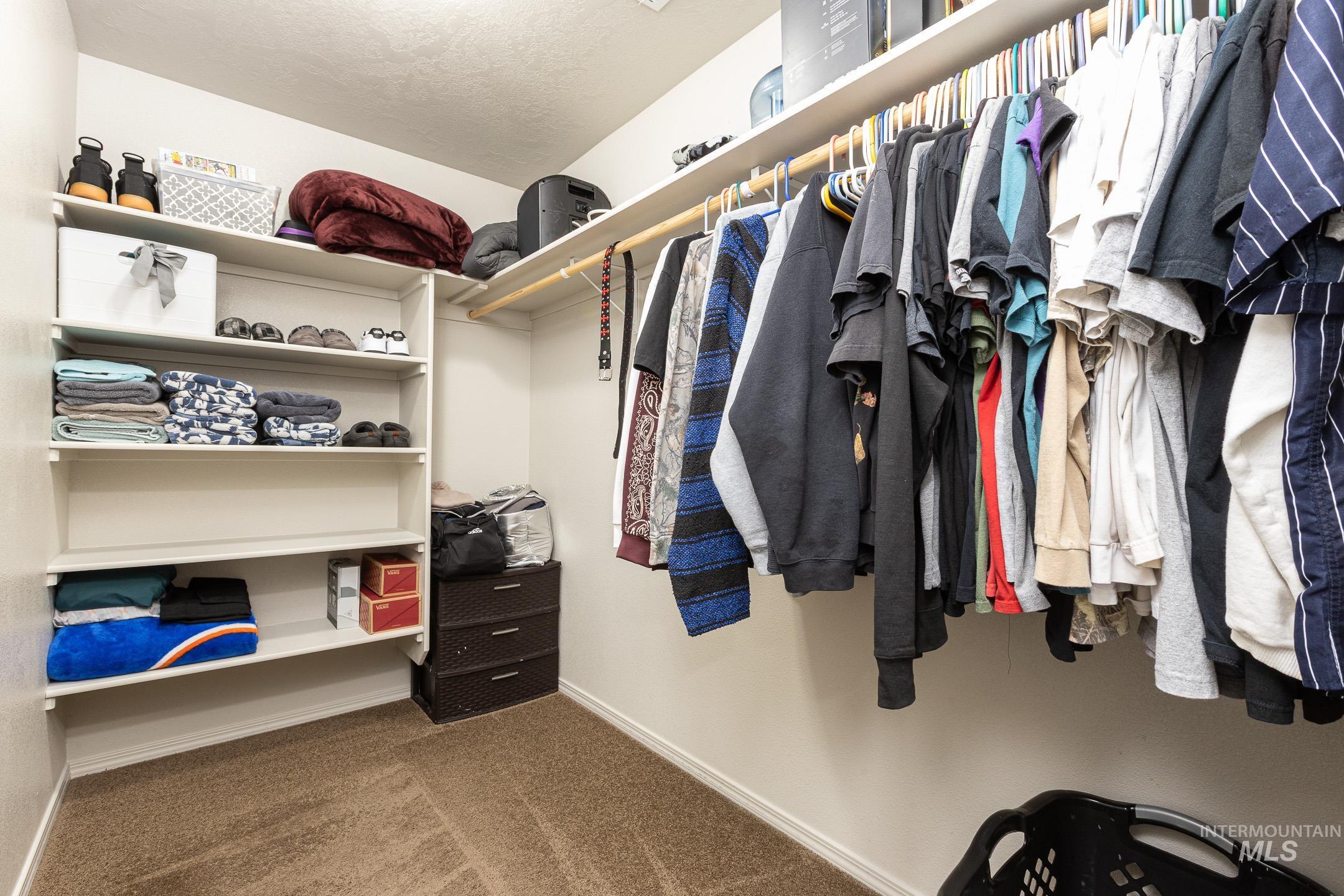 643 North Manship Avenue Meridian, ID 83642 - Photo 19 of 32 Walk in closet featuring carpet floors
