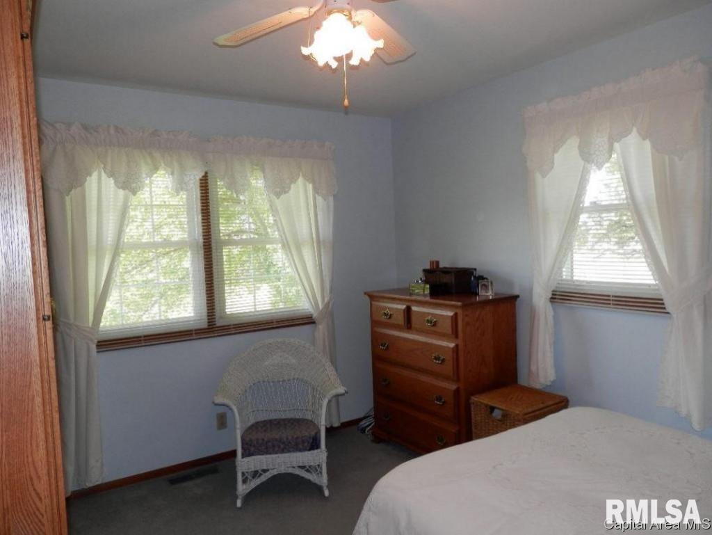 205 Sunshine Drive Rio, IL 61472 - Photo 28 of 36 Gallery Image 28