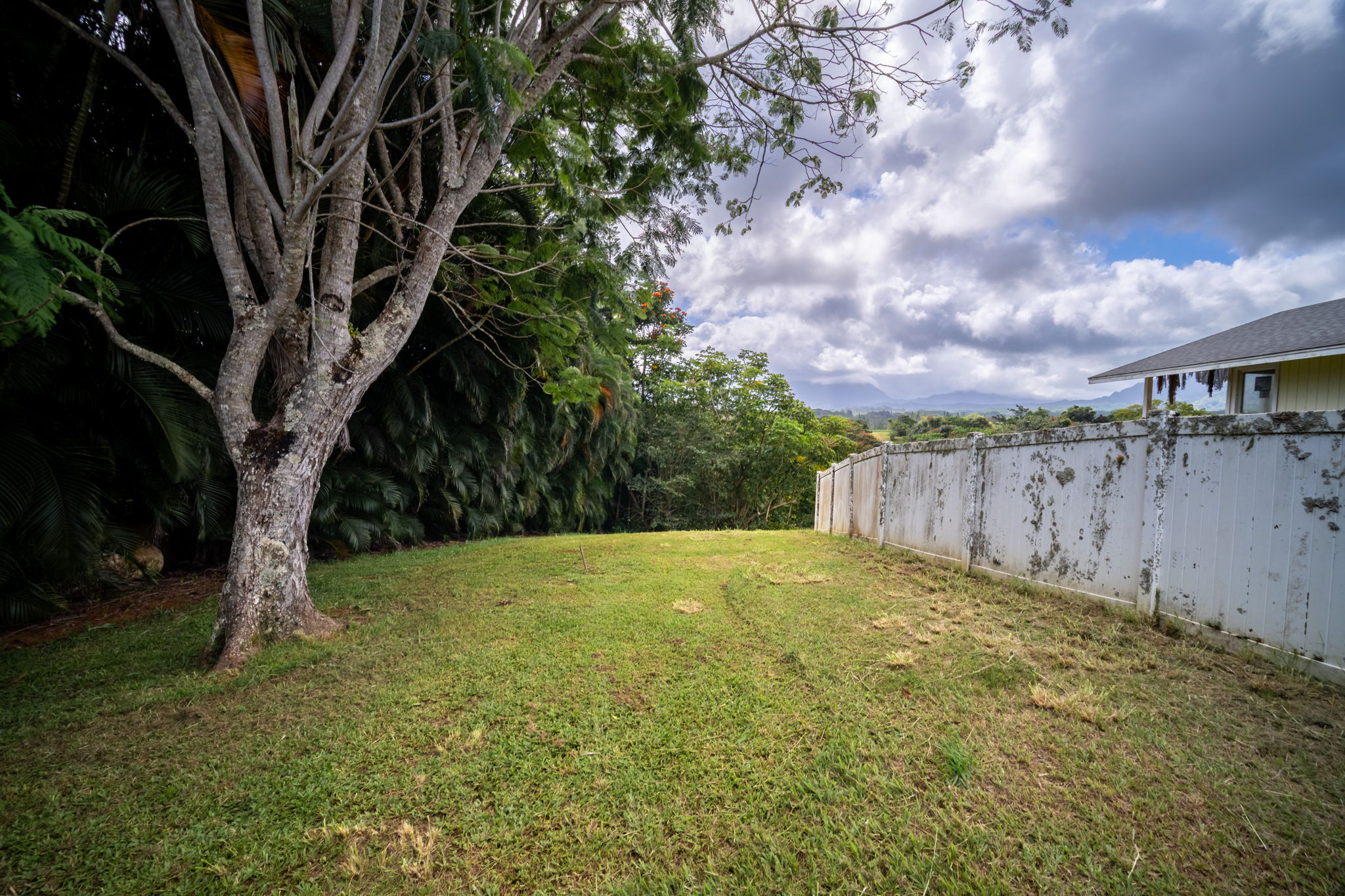 Puuopae Road Kapaa, HI 96746 - Photo 14 of 23