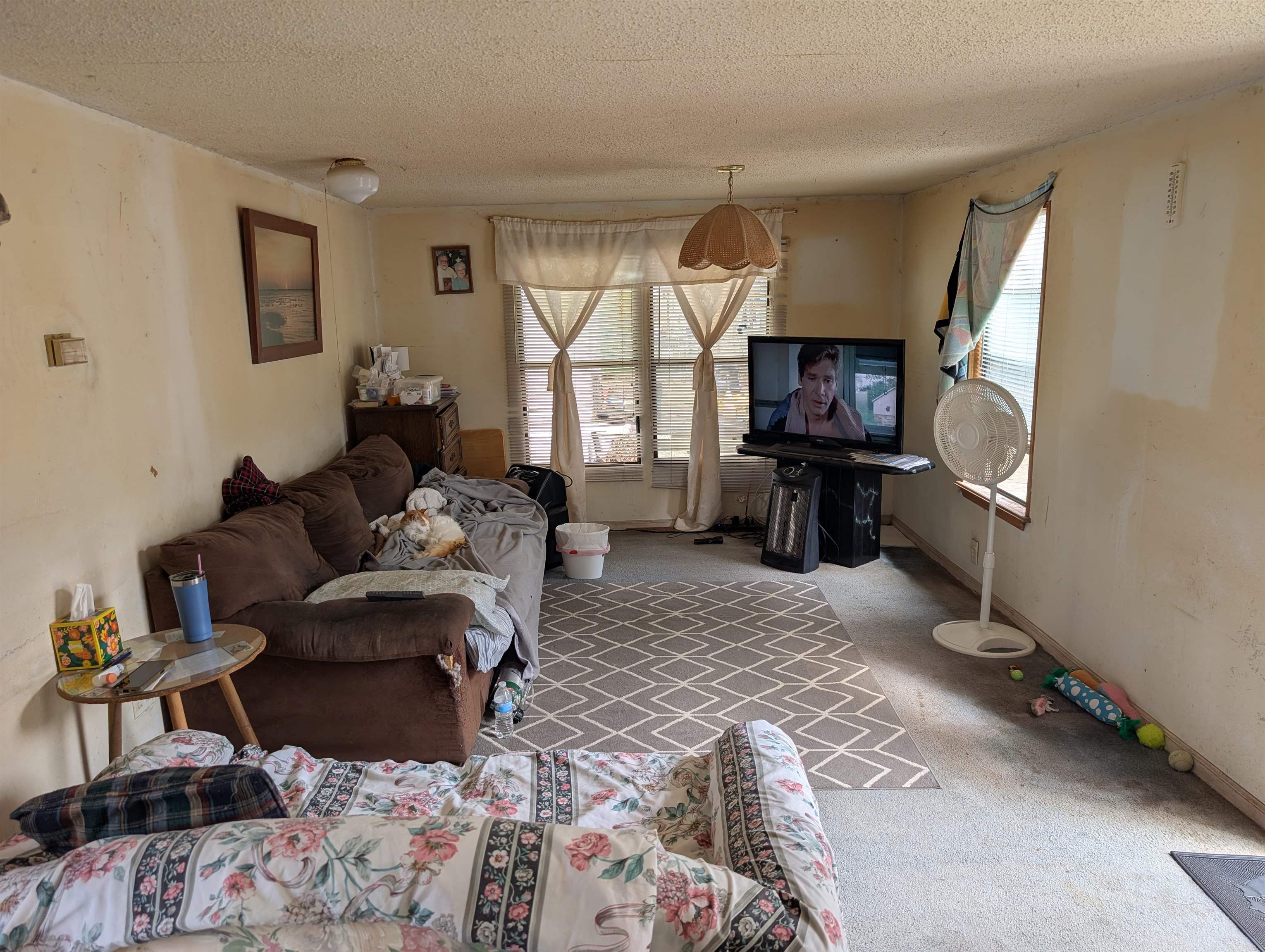 102 Edgewater Road Satsuma, FL 32189 - Photo 15 of 21 a living room with furniture and a flat screen tv