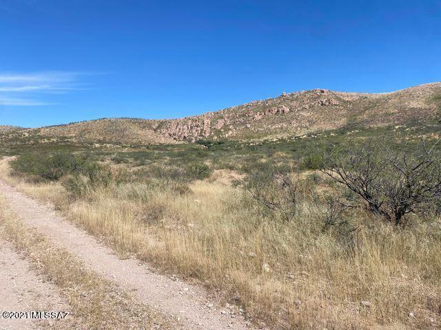 36 Acres Douglas Az 85607 Douglas, AZ 85607 - Photo 15 of 29