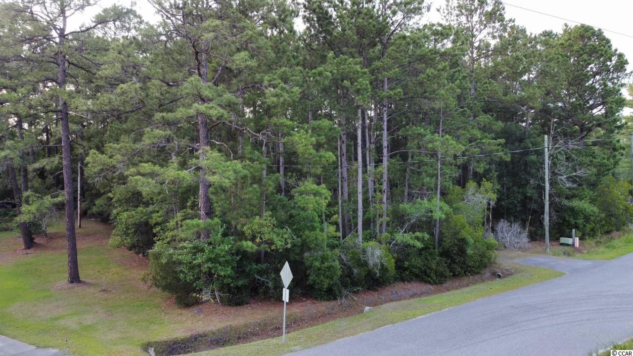 5218 Fern Ridge Road Conway, SC 29527 - Photo 3 of 9 Gallery Image 3