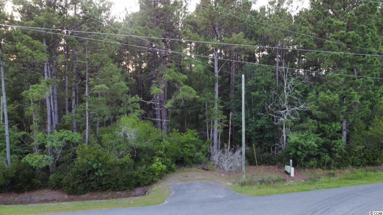 5218 Fern Ridge Road Conway, SC 29527 - Photo 8 of 9 Gallery Image 8