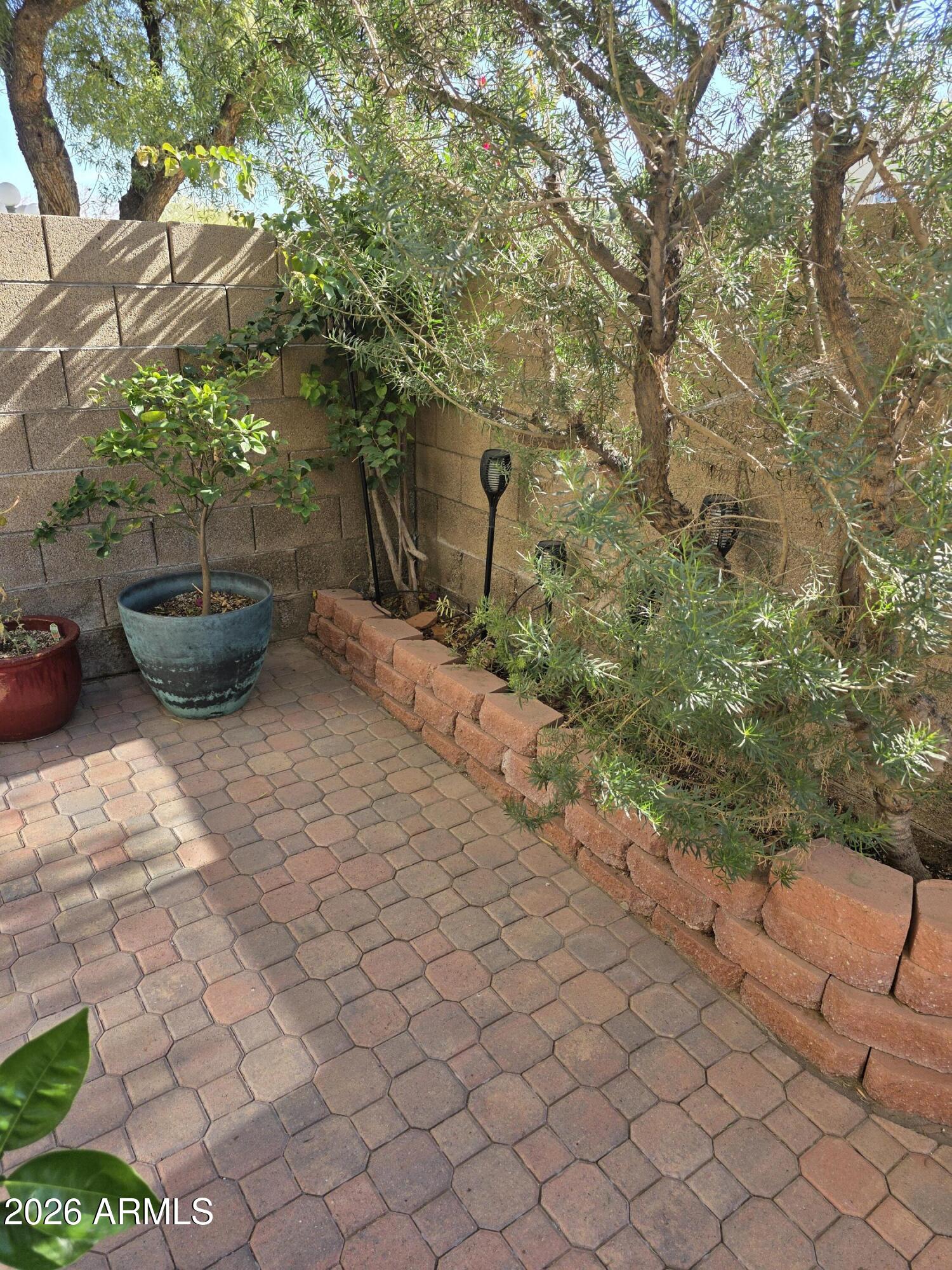 222 West Brown Road, Unit 107 Mesa, AZ 85201 - Photo 2 of 24 a view of a backyard of the house