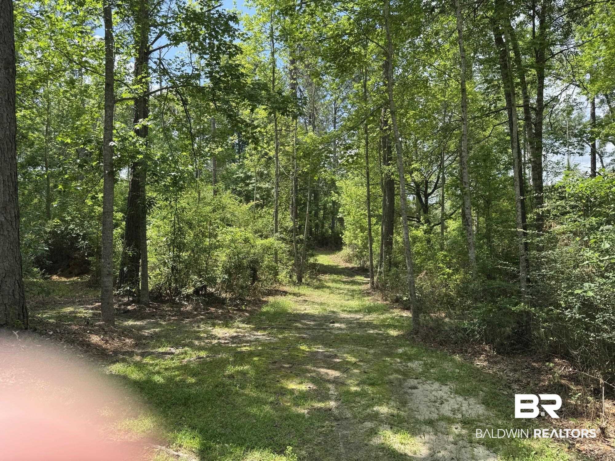 15760 Pine Grove Rd Extension West Bay Minette, AL 36507 - Photo 21 of 22 View of landscape featuring a view of trees